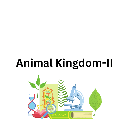 Animal Kingdom-II